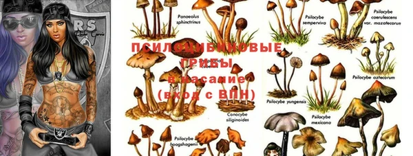 спайс Алексин