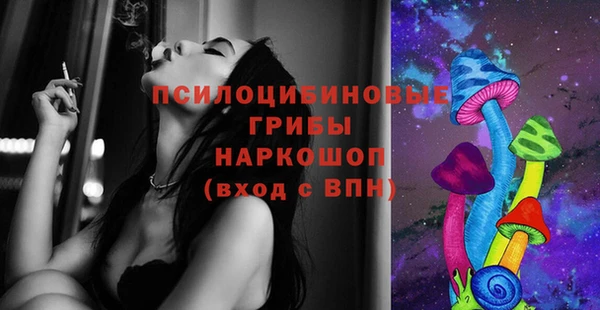 шишки Алексеевка
