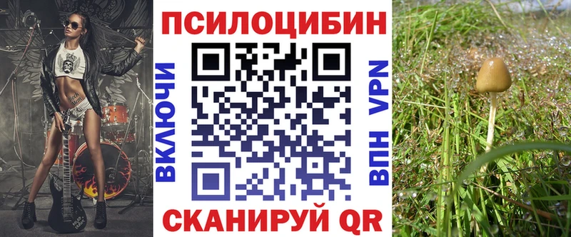 Галлюциногенные грибы мицелий  Себеж 