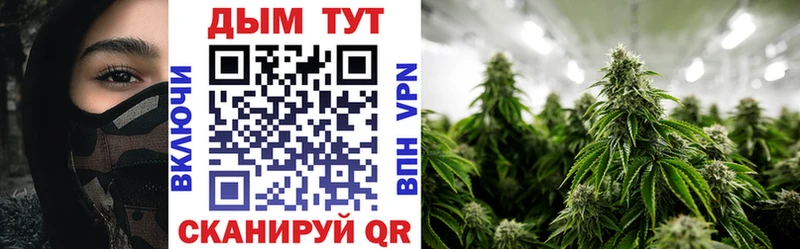 blacksprut сайт  купить   Себеж  Шишки марихуана Bruce Banner 